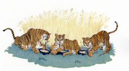 Tres Tristes Tigres by Anonymous