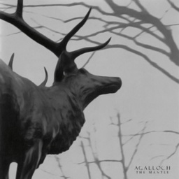 In the Shadow of Our Pale Companion by Agalloch