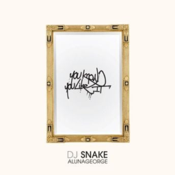 You Know You Like It by DJ Snake & AlunaGeorge
