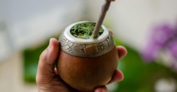 Effect of Yerba Mate (Ilex paraguariensis) Tea on Topoisomerase Inhibition and Oral Carcinoma Cell Proliferation by Elvira Gonzalez De Mejia