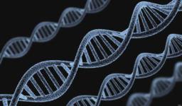 Differentially Coexpressed Disease Gene Identification Based on Gene Coexpression Network by Xue Jiang
