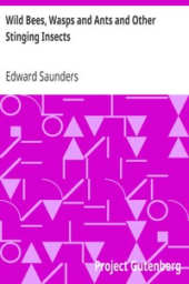 Wild Bees, Wasps and Ants and Other Stinging Insects by Edward Saunders