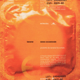 SESSO OCCASIONALE by Tananai
