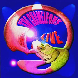 Swamp Things by The Chameleons