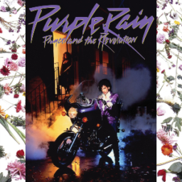 Purple Rain by Prince