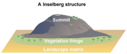 The ecological and evolutionary dynamics of inselbergs by Bram Vanschoenwinkel