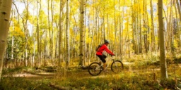The Sport of Mountain Biking by Matthew Weeks