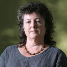 War Photographer by Carol Ann Duffy