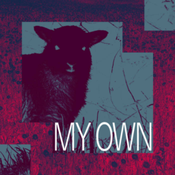 MY OWN by Circus-P