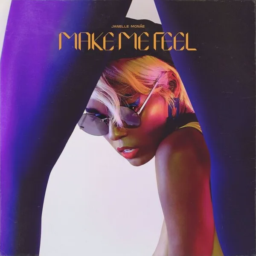 Make Me Feel by Janelle Monáe