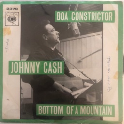 Bottom Of The Mountain by Johnny Cash