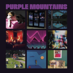 All My Happiness Is Gone by Purple Mountains