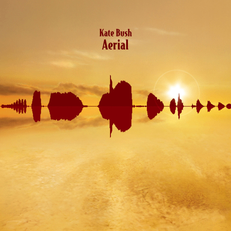 Somewhere in between by Kate Bush