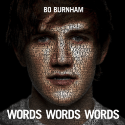 RANT by Bo Burnham