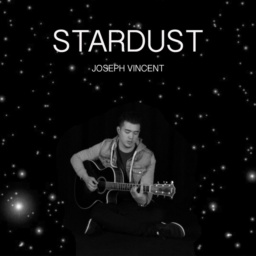 Stardust by Joseph Vincent