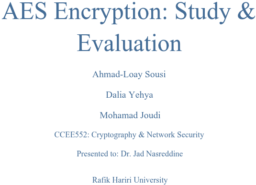 AES Encryption: Study & Evaluation by Ahmad-Loay Sousi, Dalia Yehya, Mohamad Joudi