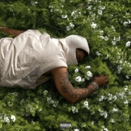 Champain by NoCap
