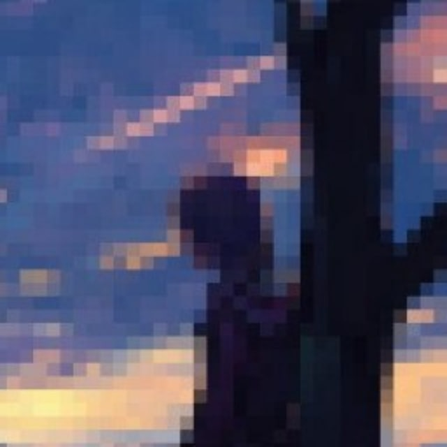 dasha's profile picture