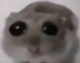 alas